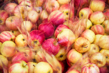 apple with group of red apples