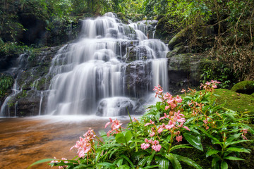 Naklejka premium beautiful waterfall with pink snapdragon flower in foreground