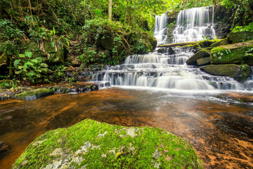 Fototapeta na wymiar beautiful waterfall in green forest in jungle at phu tub berk mo