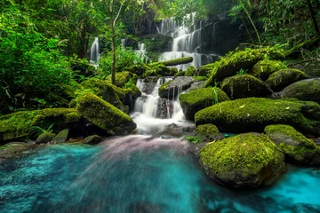 Poster Im Rahmen schöner Wasserfall im grünen Wald im Dschungel © martinhosmat083
