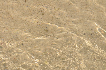 Fische in einer Lagune bei Orzola