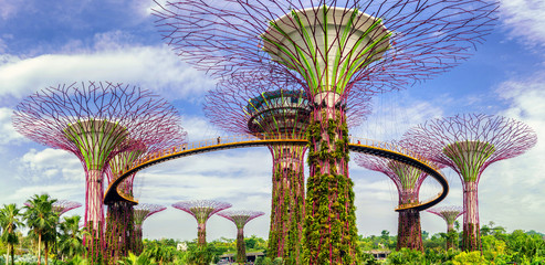 Landscape of The Supertree at Gardens by the Bay with cloudy blu