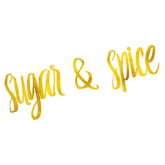 Sugar and Spice Gold Faux Foil Metallic Glitter Girly Girl Quote