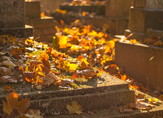 Cemetery in autumn
