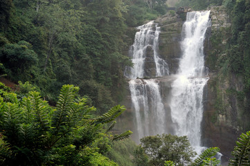 Fototapeta premium Beautiful waterfall in Sri Lanka