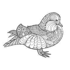 Zentangle stylized mandarine duck