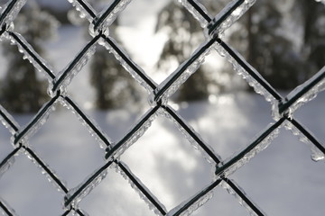 frozen fence - white snow