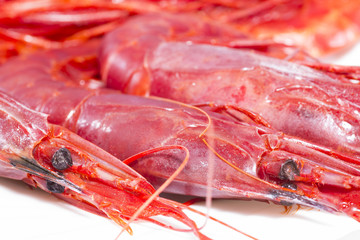 Carabineros.
