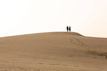 Fototapeta na wymiar Silhouette of a couple on a dune in the desert