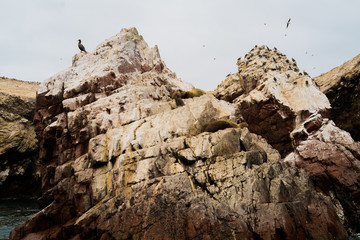 Islas Ballestas