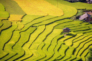 beautiful view of house and village in rice terrace