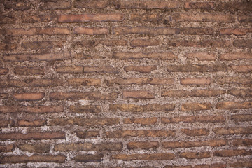 Vatican museums brick wall texture