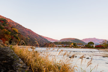早朝の紅葉山と大堰川
