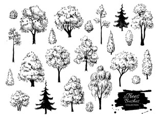 Big set of hand drawn tree sketches.