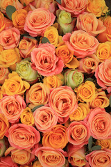 Obraz na płótnie Canvas Yellow and orange roses