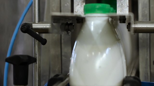 Technolofy of conveyor with milk bottles