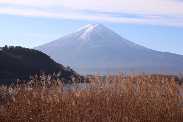 Obraz premium 河口湖から見た富士山
