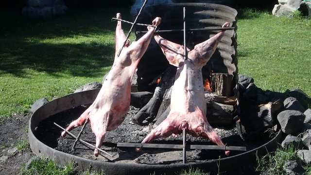 Whole lamb on skewer roasting over open flames in smoking bbq pit.