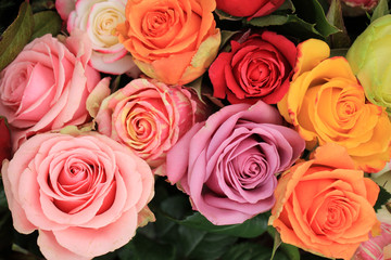 Multicolored wedding roses