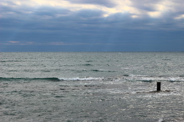 荒々しい太平洋