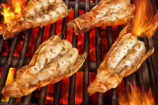 Scampi on grill