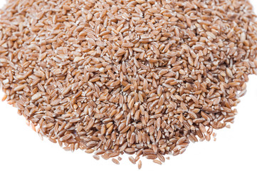 A bunch of spelt on a white background