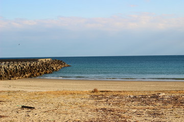 Fototapeta na wymiar 太平洋と砂浜