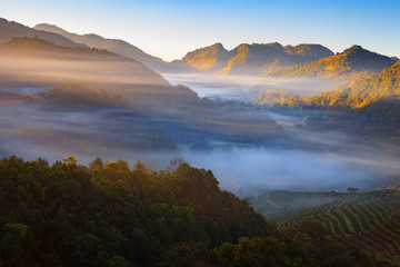Obraz premium Mglisty poranny wschód słońca na plantacji herbaty i chacie w Doi Ang Khang
