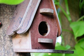 Wood bird house