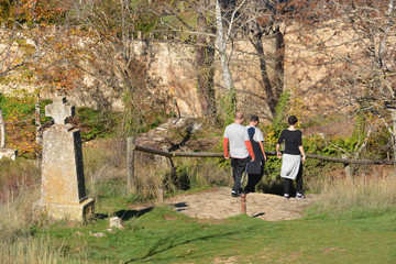 caminando por el campo