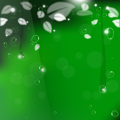 Water drop rain drop on clear glass with falling green leaf back