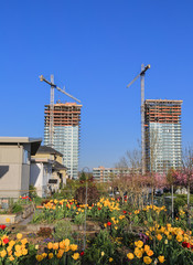 Construction  of two new high-rise building in the old district in the city