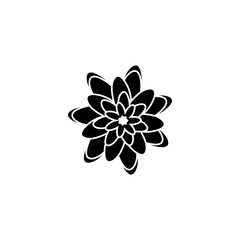 Abstract cute flower