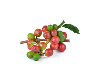  Red coffee beans , ripe  berries isolated on white background