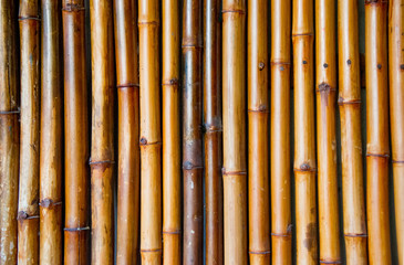 bamboo fence background