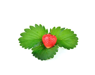 Strawberries  on  white background