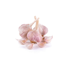 Fresh garlic  on white background