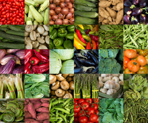Collage of vegetables like asparagus, lettuce, tomato and cucumber