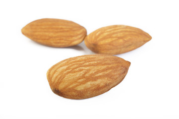 almond nut