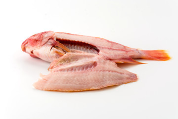 tilapia raw