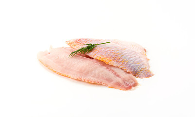 tilapia raw