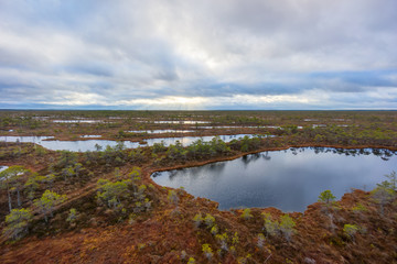 Kemeri swamp landscape