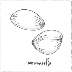 Cut sliced cheese assortment. Vector illustration.