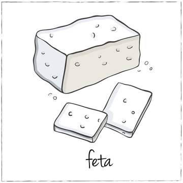 Cut sliced cheese assortment. Vector illustration.