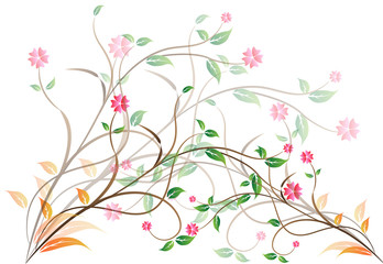 Beautiful Spring tree on white background