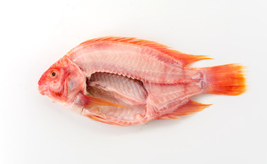 tilapia raw