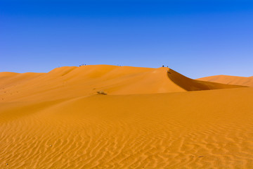 ナミブ砂漠のデューン45