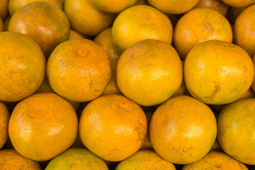 Orange for sale at market stall