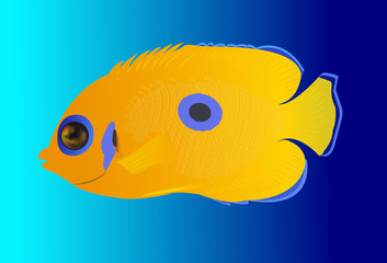 yellow tropical fish on blue background