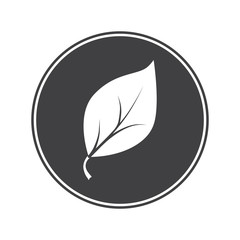 Leaf icon